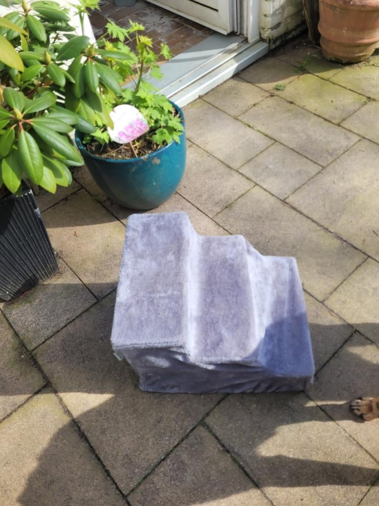 Trapje voor honden en katten, Ophalen, Nieuw
