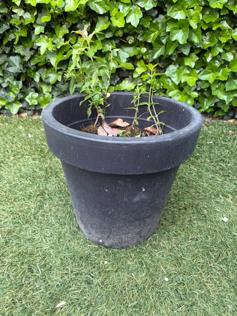 Gratis op te halen Bloempot, Ophalen, Kunststof, Gebruikt, Minder dan 30 cm