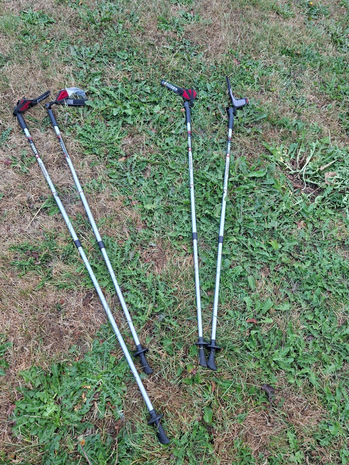 2 sets Nordic wandelstokken, Ophalen, Verstelbaar, Zo goed als nieuw