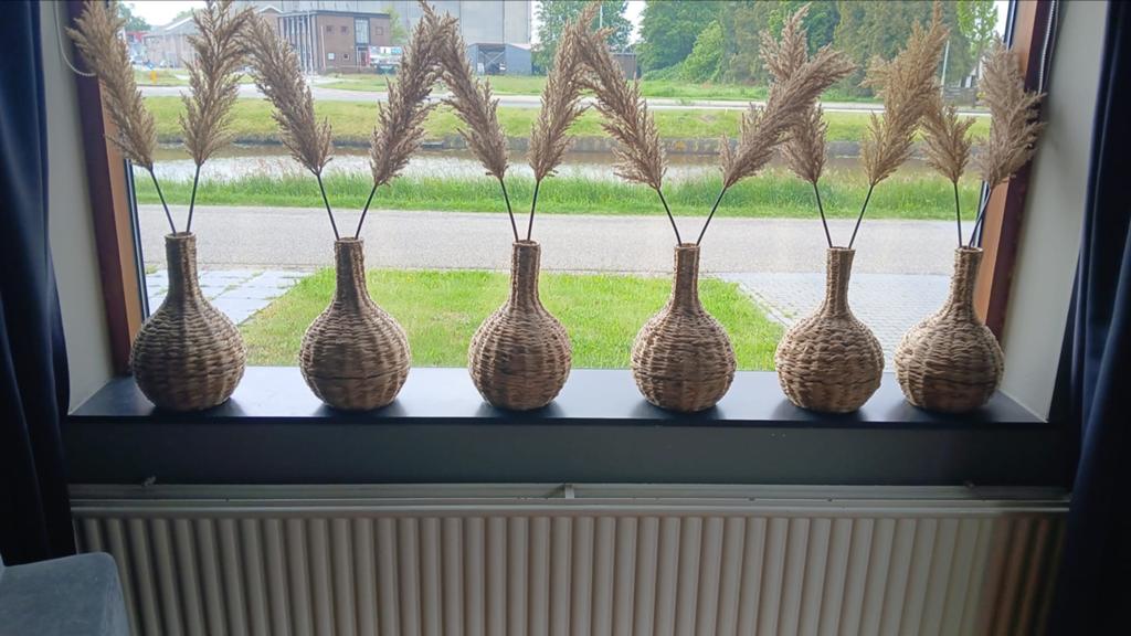 Set van 6 rieten vazen met kunstplanten, Huis en Inrichting, Woonaccessoires | Vazen, Ophalen, Overige materialen, Overige kleuren