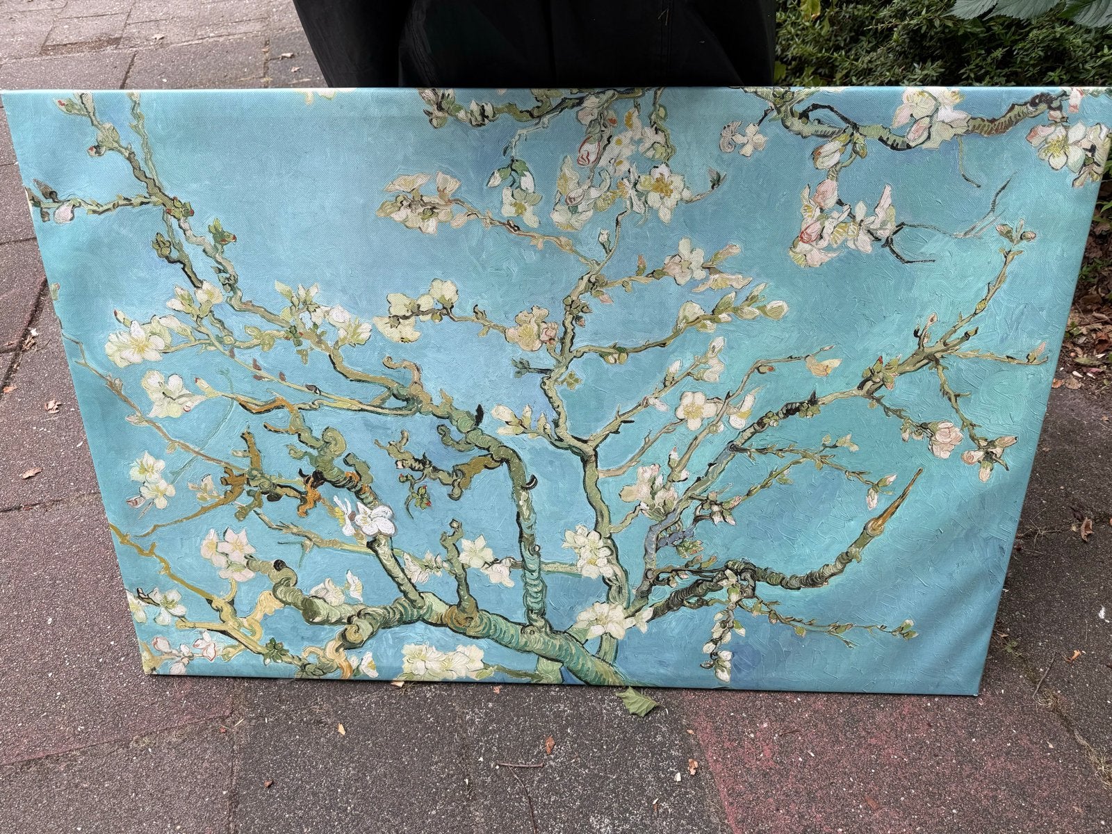 Reproductie kanvas  'Amandelbloesem' van Gogh, Bloemen, Overige ondergronden, Impressionistisch, Ophalen of Verzenden