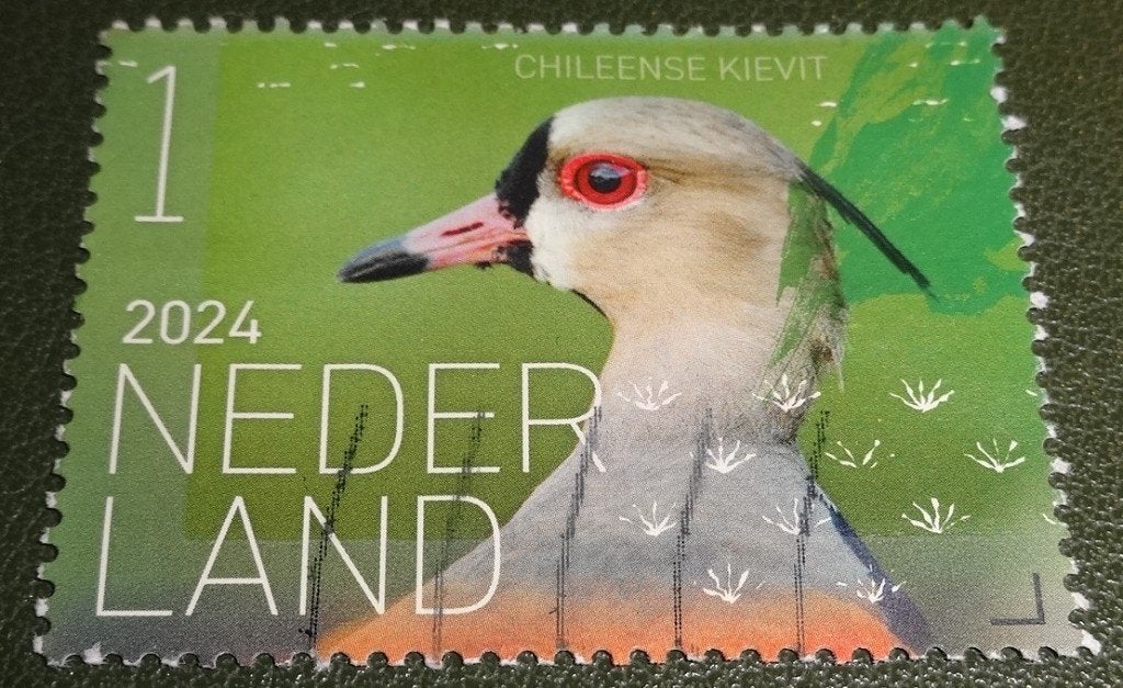 Beleef de Natuur - 4166 - 2024 - Chileense Kievit - PNe01-10, Verzenden, Na 1940, Gestempeld