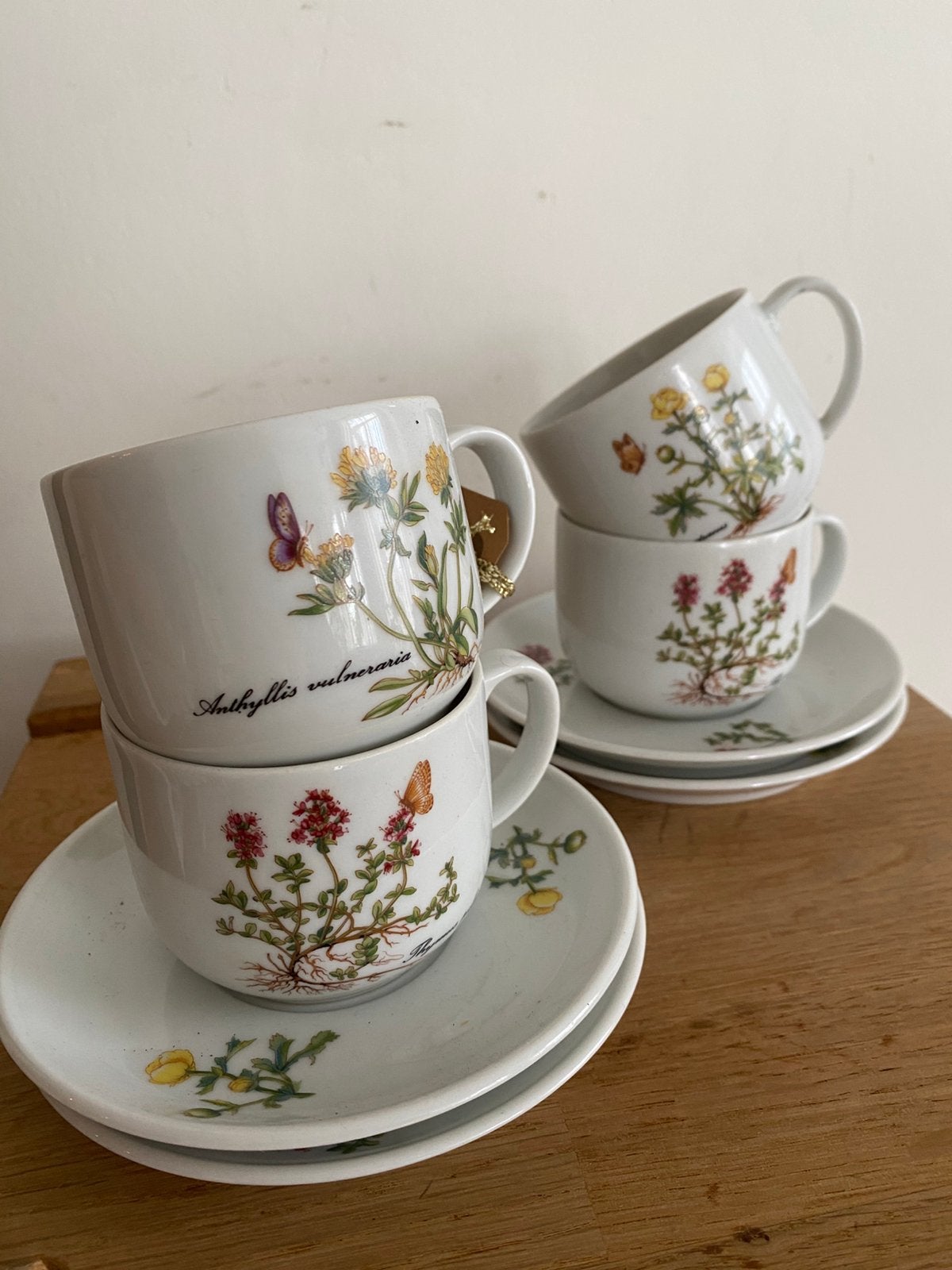 Prachtige set van vier theekopjes met botanische print, Verzamelen, Porselein, Kristal en Bestek, Ophalen of Verzenden, Zo goed als nieuw