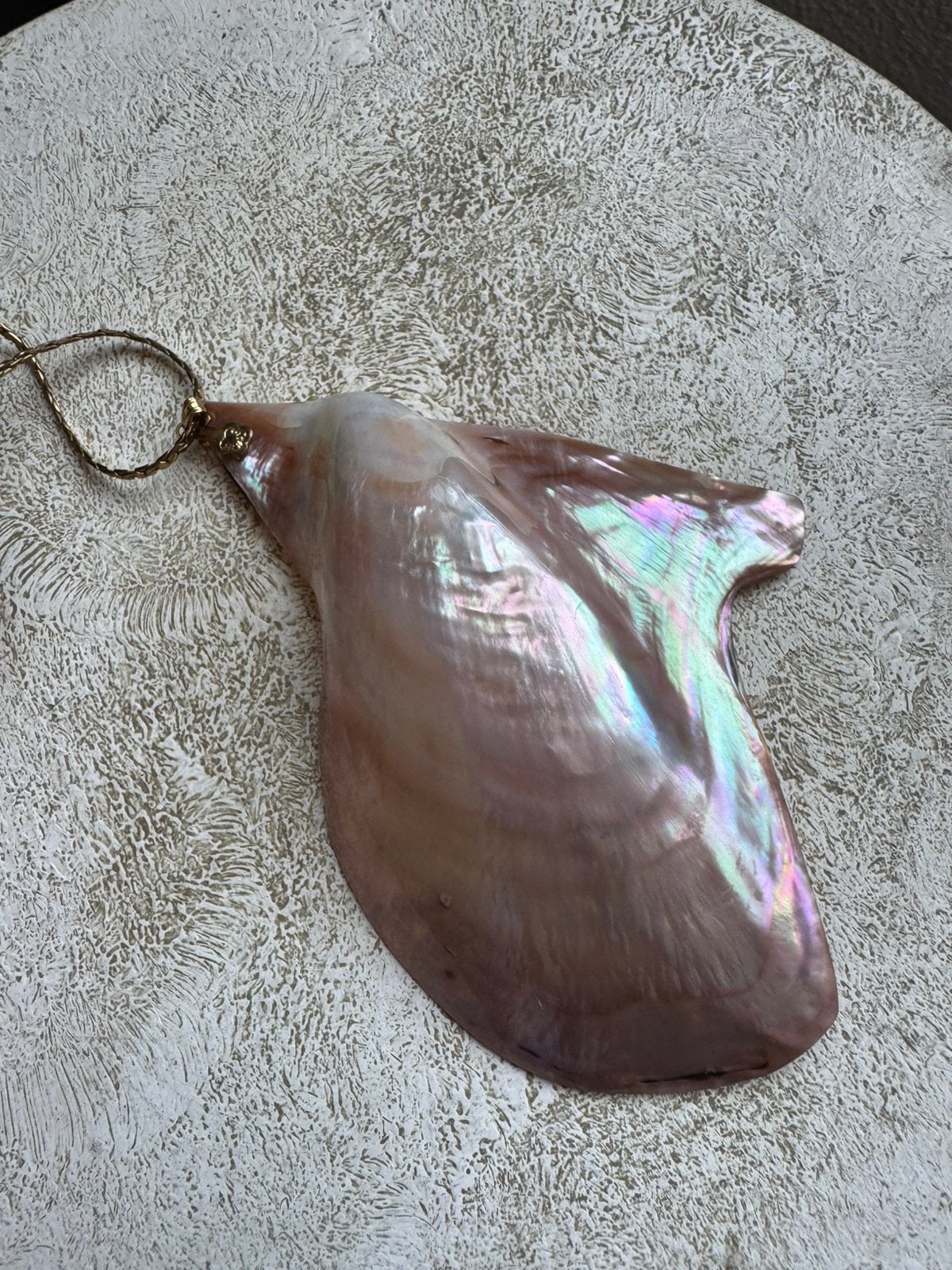 unique piece of jewelry pendant made from Indonesian abalone, Verzenden, Zo goed als nieuw, Zilver, Overige materialen