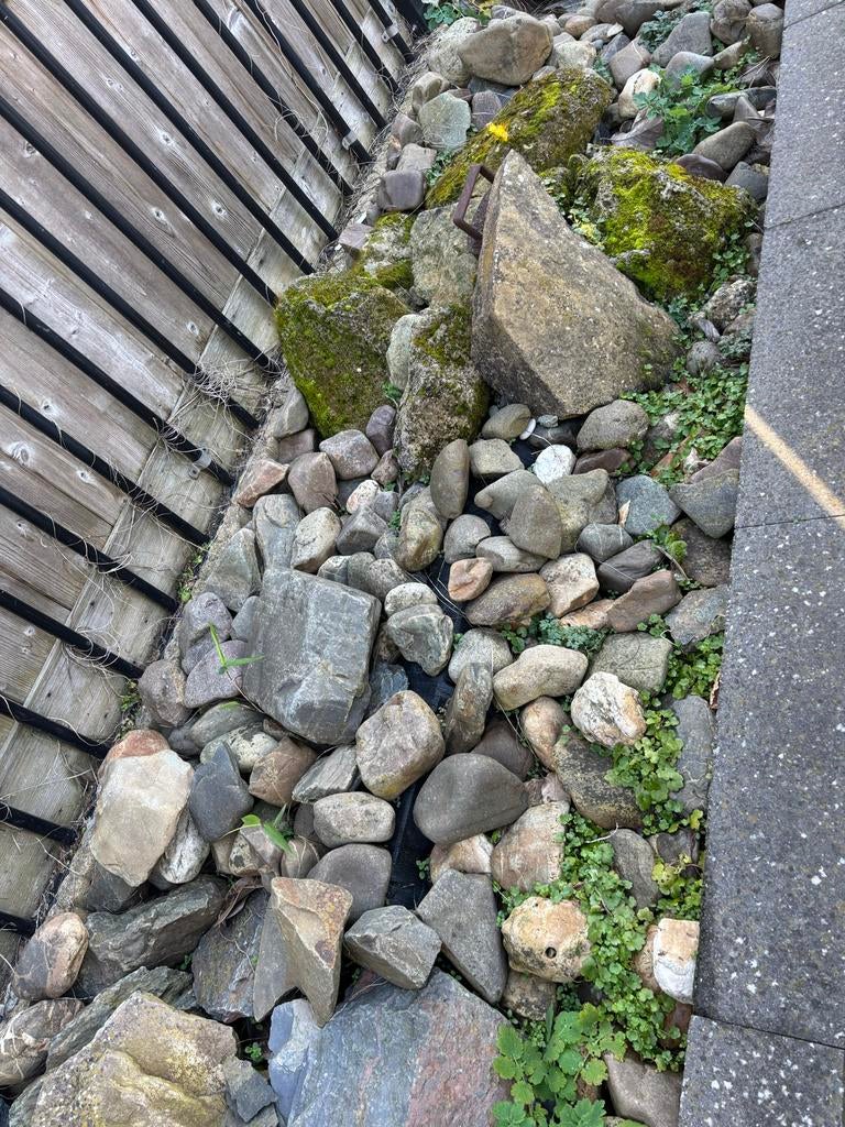 Gratis af te halen: Maaskeien en stenen voor tuin of oever, Ophalen, Gebruikt, Grijs, Kei