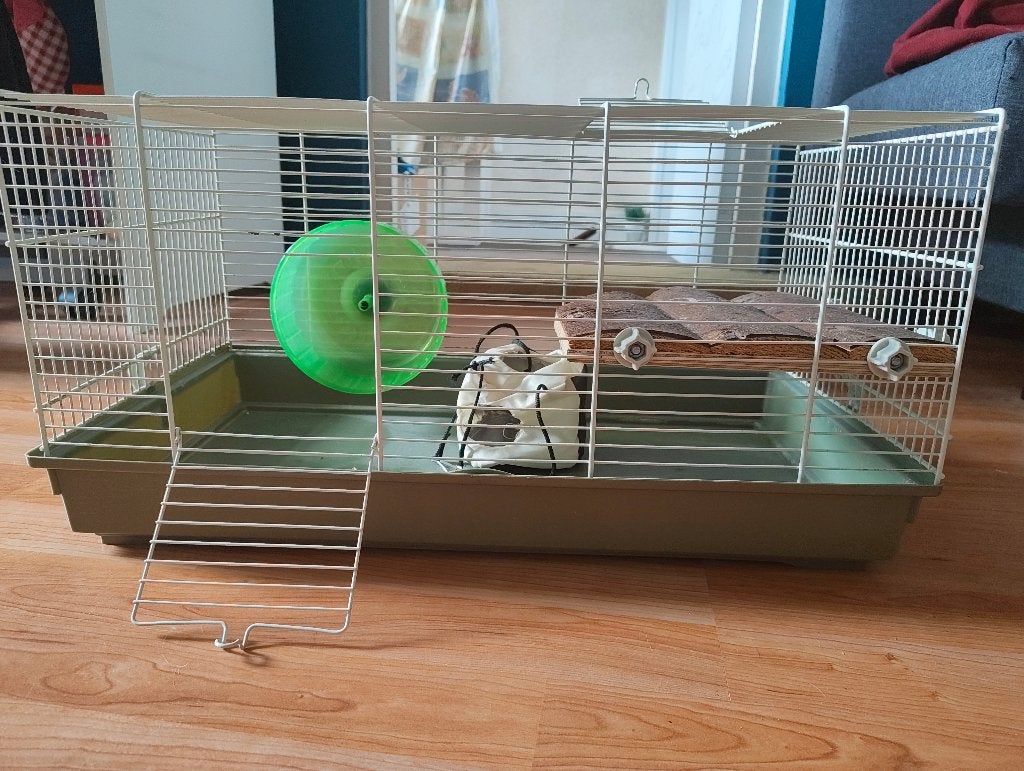 Hamster kooi, Dieren en Toebehoren, Kooi, Gebruikt, Minder dan 75 cm, Muis