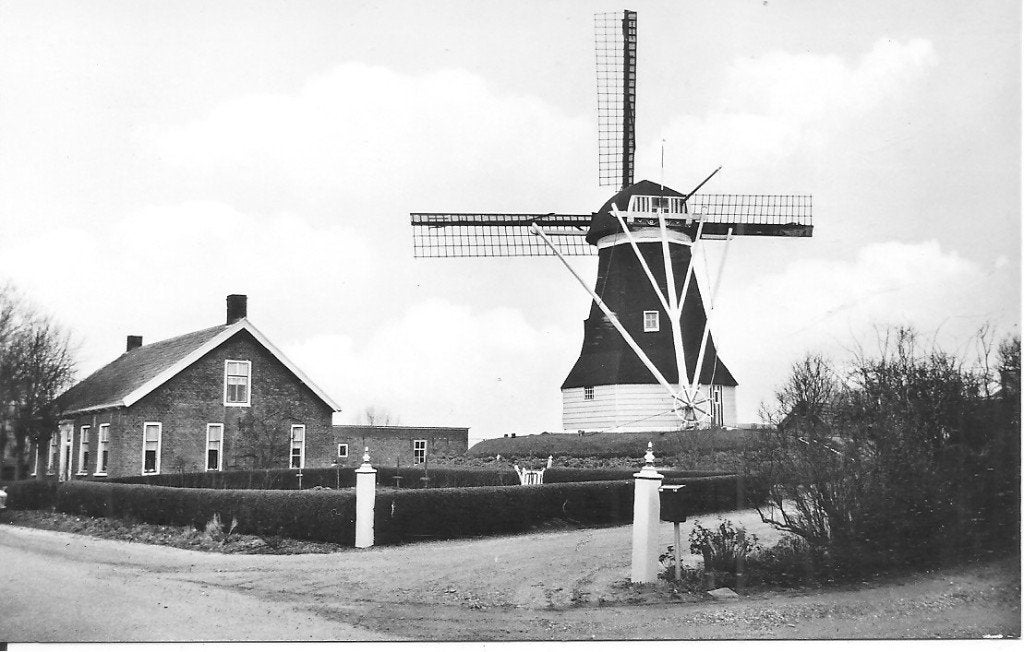 Ansichtkaart Korenmolen 'De Hoop en Verwachting' Borssele, Verzamelen, Ansichtkaarten | Nederland, Ophalen of Verzenden, 1960 tot 1980