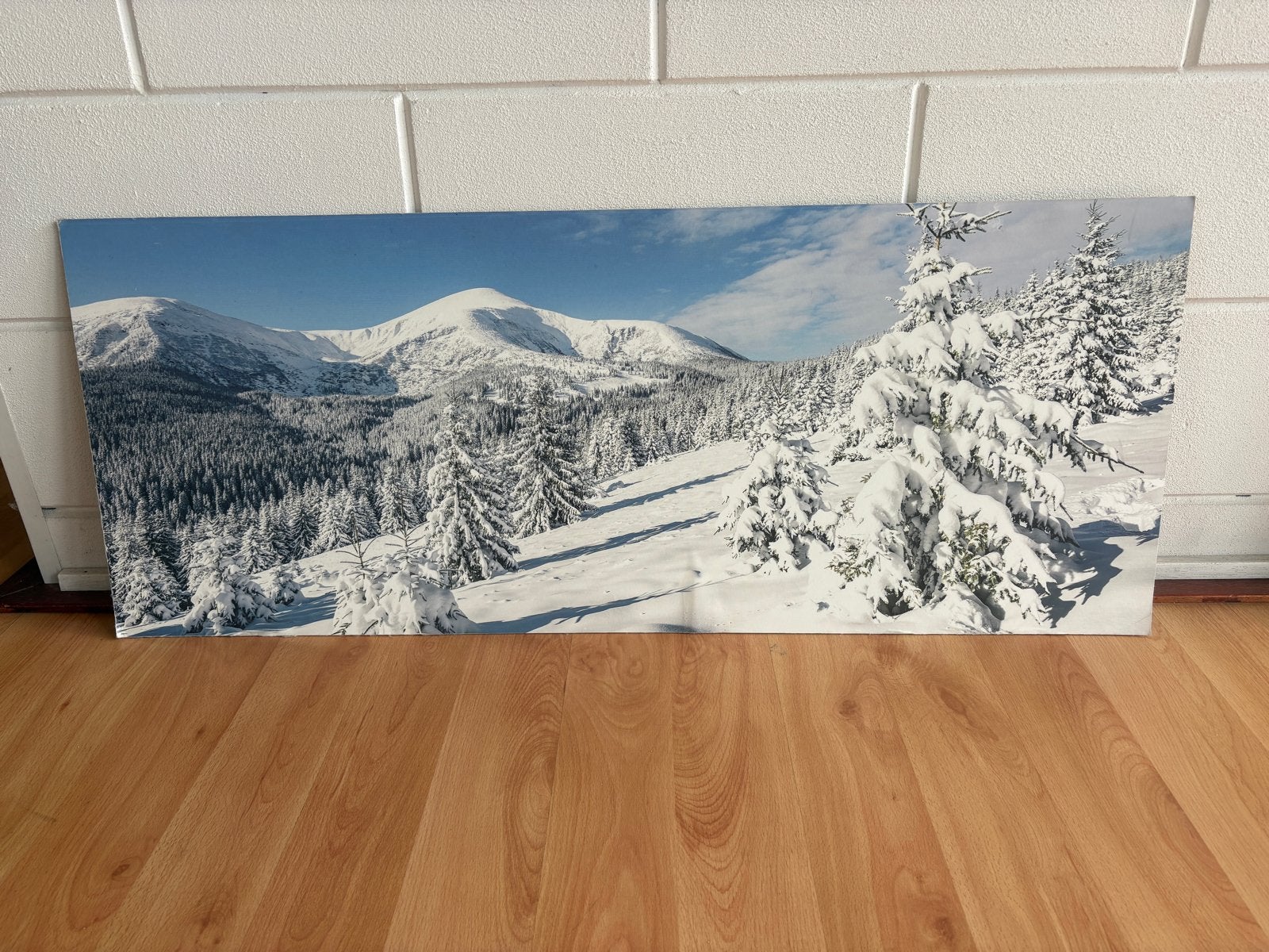 Achterwand Kerstdorp/Modelbouw - Winterlandschap 100x40 cm, Ophalen, Zo goed als nieuw