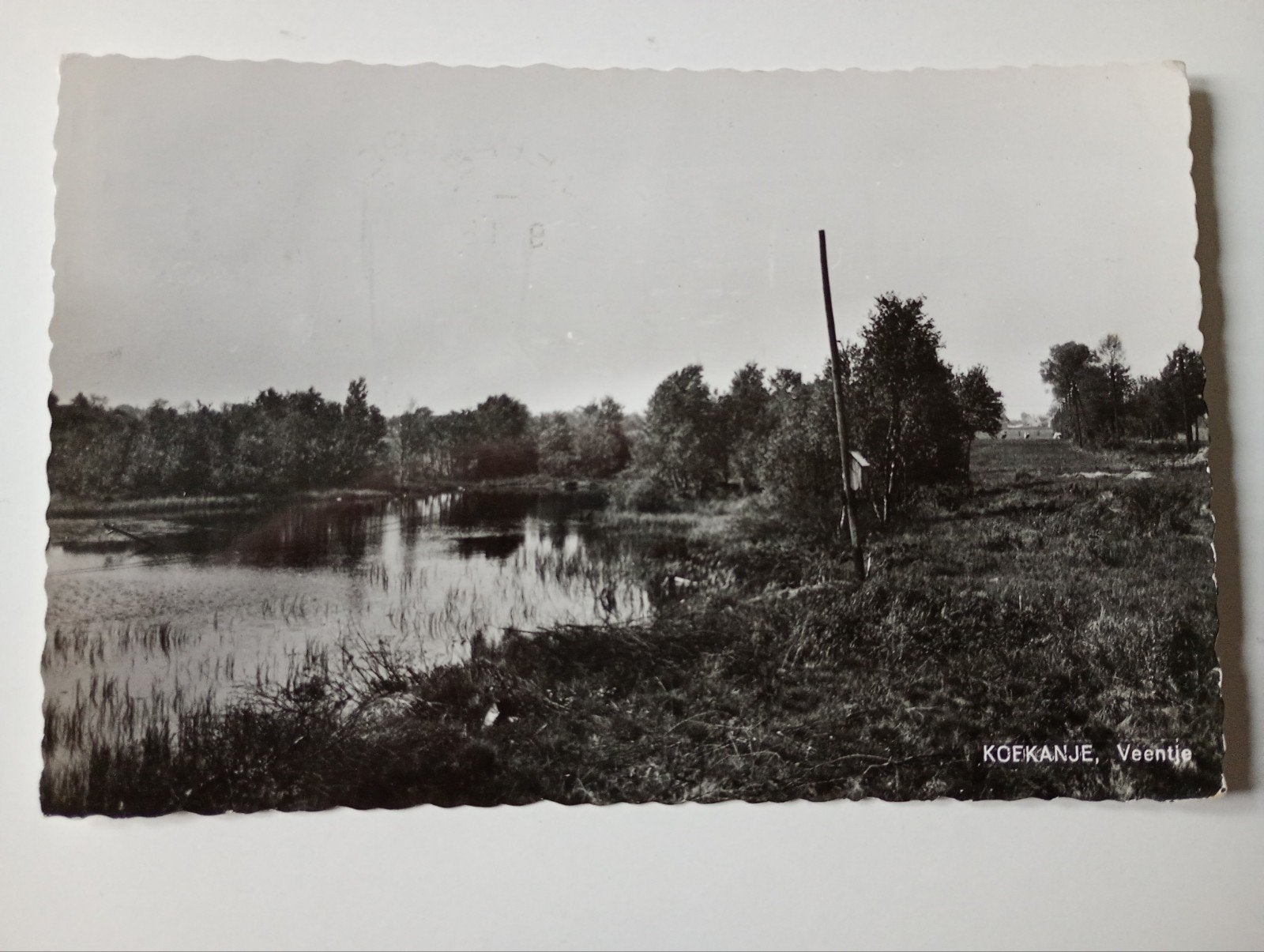 Koekange Veentje 1966, Ophalen of Verzenden, 1960 tot 1980, Gelopen, Drenthe