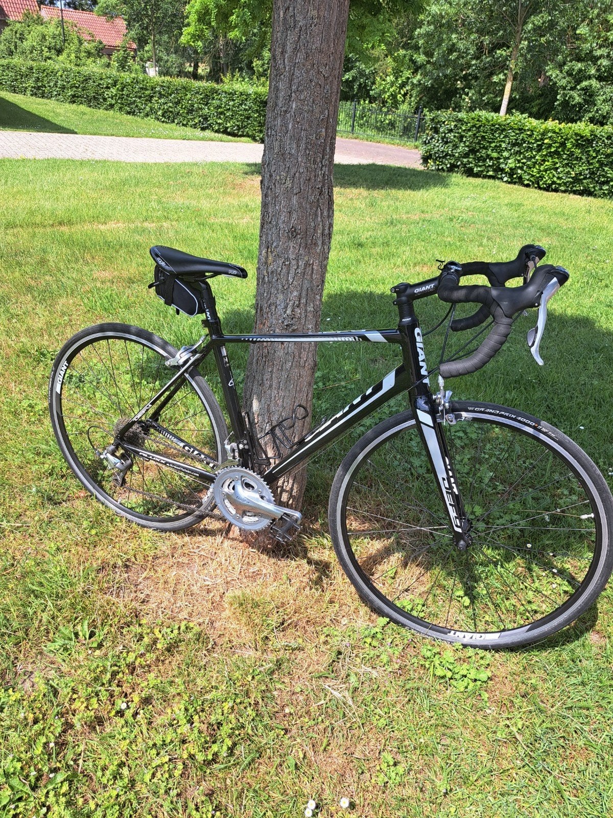 Giant Defy Dames Racefiets - 47 cm - Shimano - Velgremmen, Fietsen en Brommers, Fietsen | Racefietsen, Gebruikt, Aluminium, Meer dan 20 versnellingen
