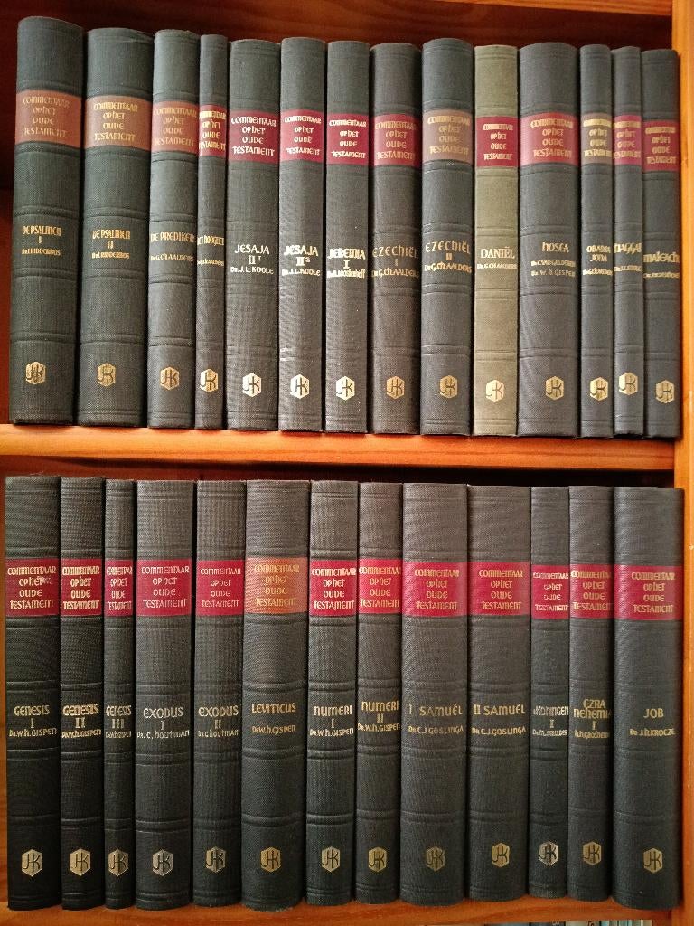 Bijbelcommentaren, Ophalen of Verzenden, Gelezen, Christendom | Protestants