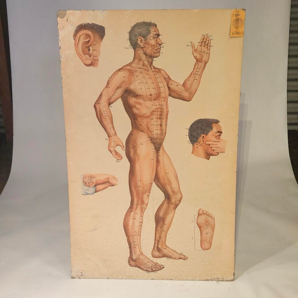 Acupuncture kaart, Ophalen of Verzenden