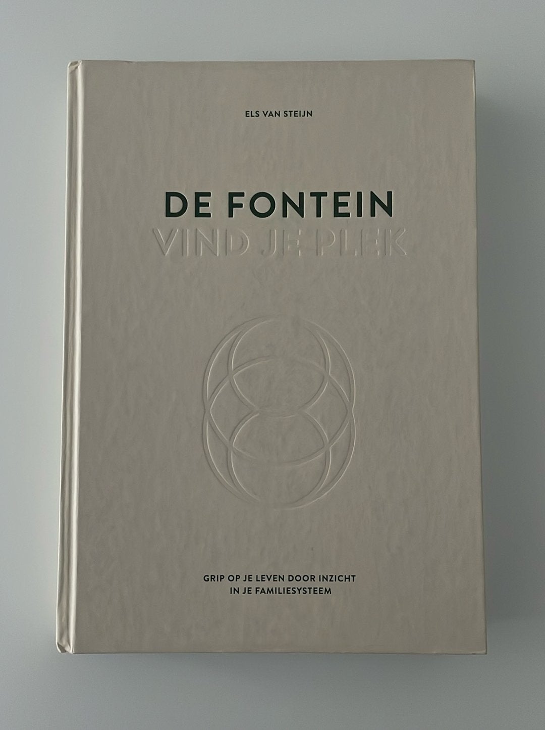 Els van Steijn - De fontein, vind je plek, Boeken, Ophalen of Verzenden, Els van Steijn, Ontwikkelingspsychologie, Zo goed als nieuw
