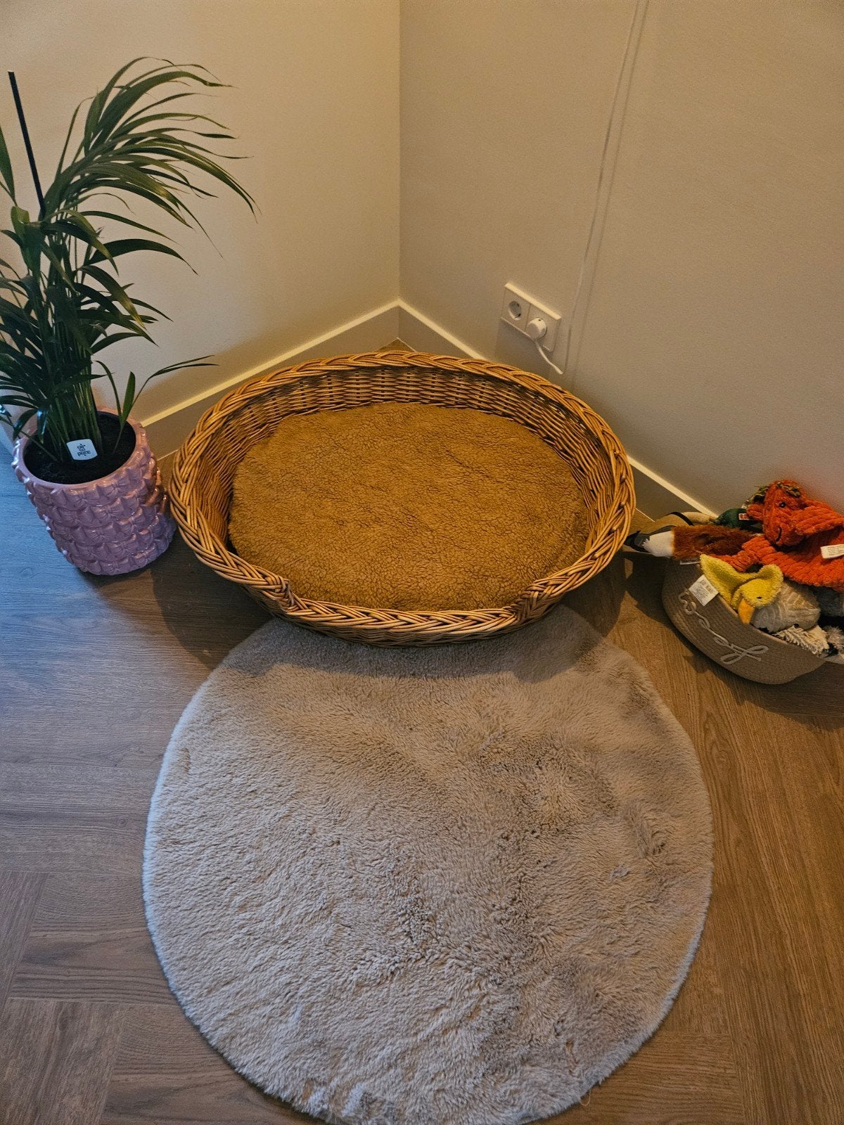 Rieten hondenmand met kussen, Ophalen of Verzenden, Riet