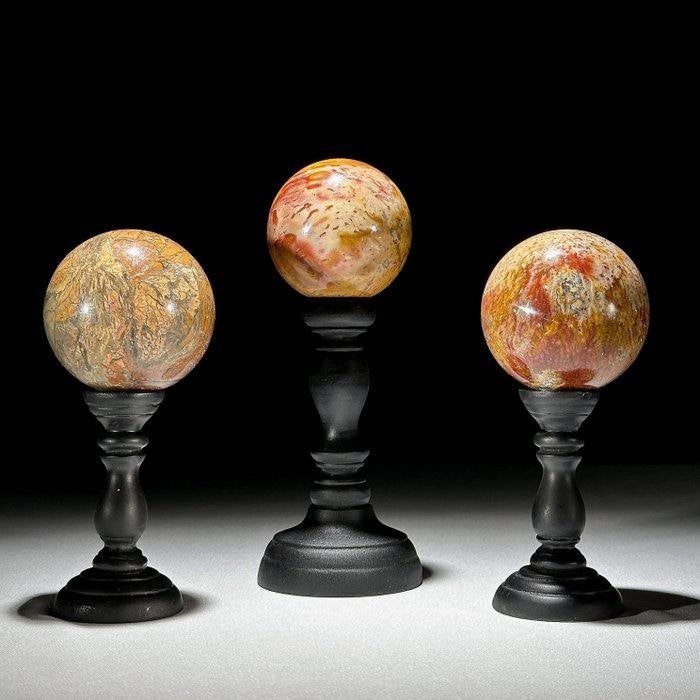 Maligano-Jaspis - Gefossiliseerd houtpalmwortel  - Spheres, Verzenden, Overige typen