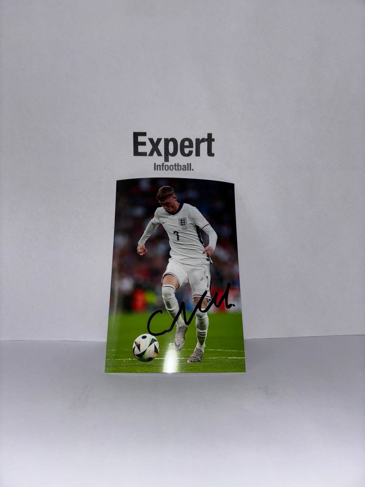 Palmer gesigneerde foto - England, Ophalen of Verzenden, Nieuw, Buitenlandse clubs, Spelerskaart