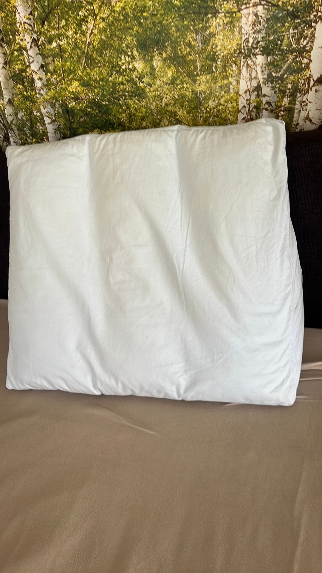 Heerlijk kussen om rechtop in bed te lezen/ zitten., Huis en Inrichting, Woonaccessoires | Kussens, Ophalen, Overige kleuren, Overige vormen