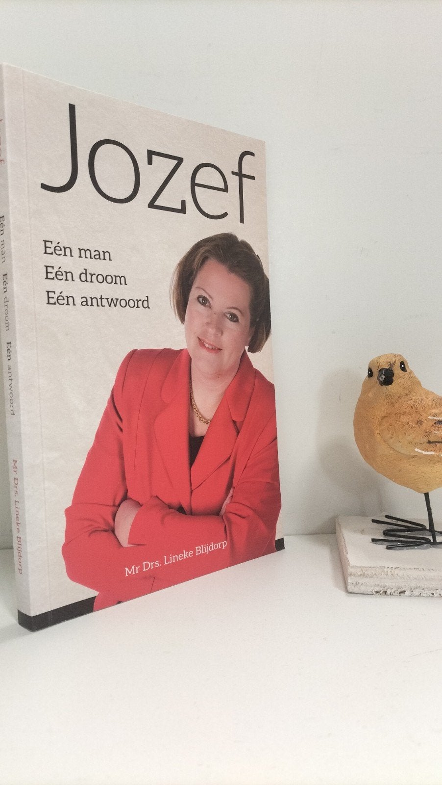 Blijdorp, Mr. Drs. Lineke; Jozef (een man, een droom, een, Ophalen of Verzenden, Gelezen, Christendom | Protestants