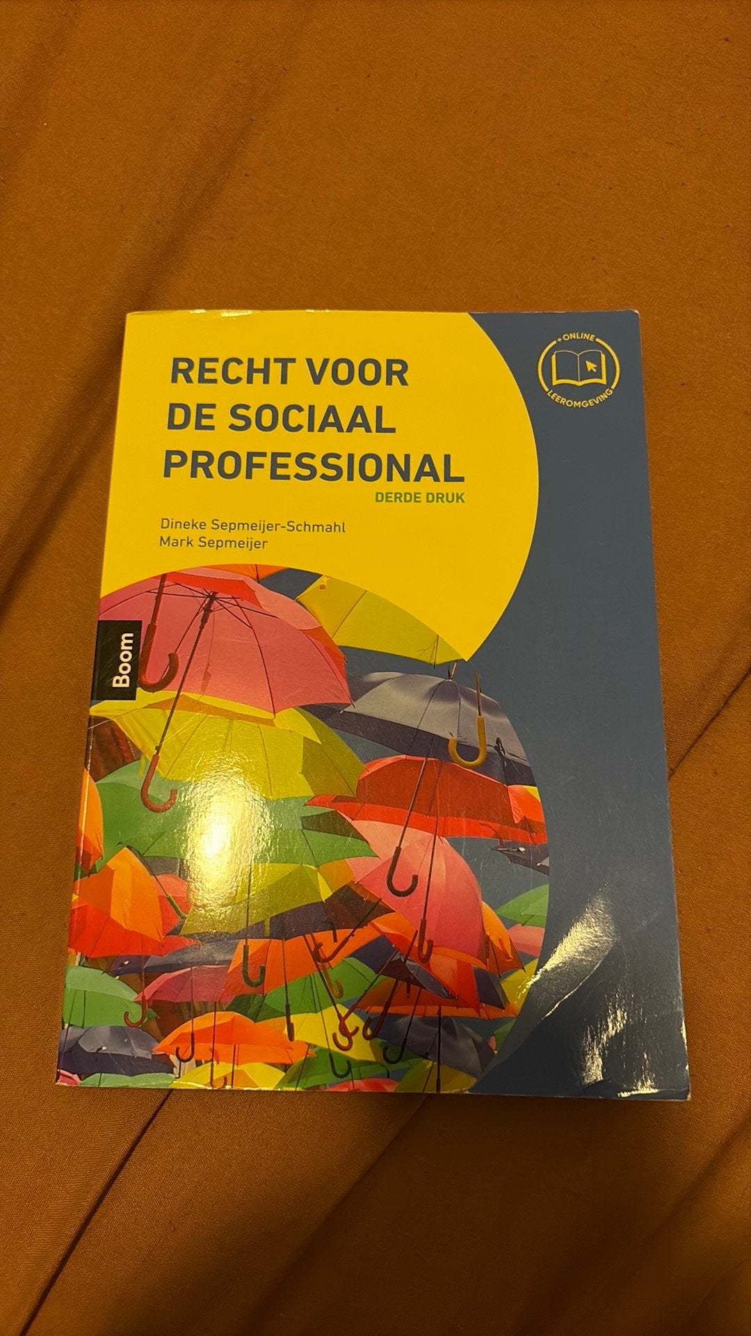 Recht voor de sociaal professional, Boeken, Ophalen of Verzenden, Zo goed als nieuw, Overige onderwerpen