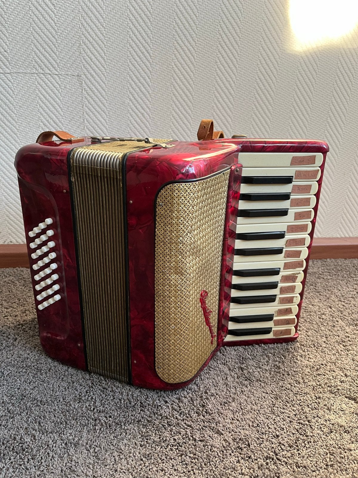 Rode Hohner Accordeon met koffer en riemen, Muziek en Instrumenten, Ophalen, Toetsaccordeon, Met koffer, Hohner
