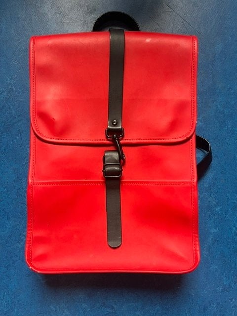 Rugtas, backpack Rains, Sieraden, Tassen en Uiterlijk, Tassen | Rugtassen, Overige merken, 40 cm of meer, Gebruikt, Ophalen of Verzenden