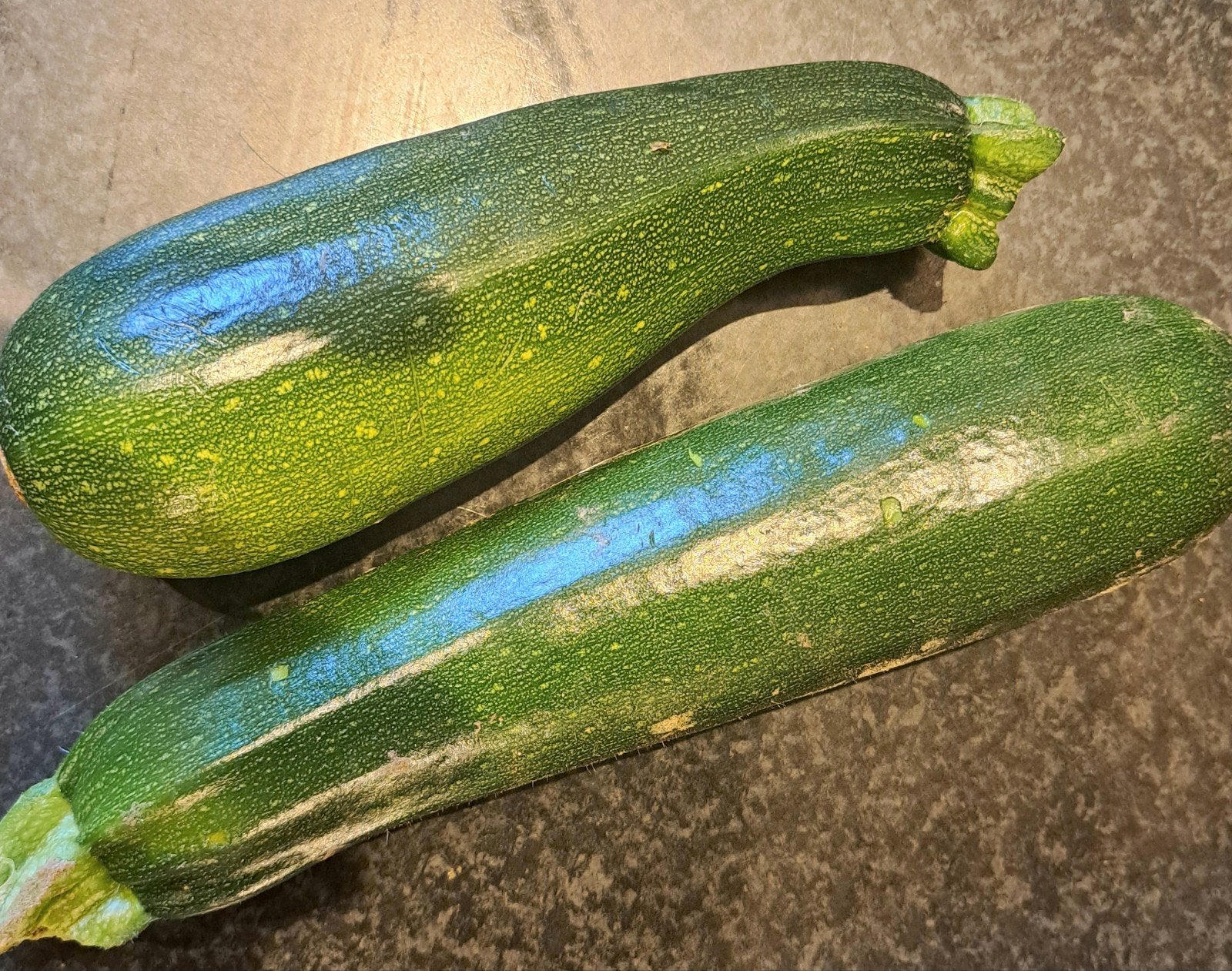 Verse courgettes & sperciebonen te koop - omgeving Loppersum, Ophalen