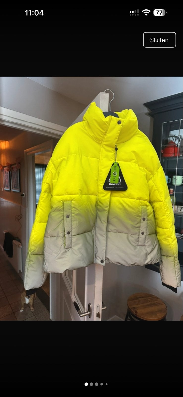 Gaastra Pufferjack met kleurverloop - Nieuw met kaartjes, Ophalen of Verzenden, Nieuw, Maat 38/40 (M), Geel