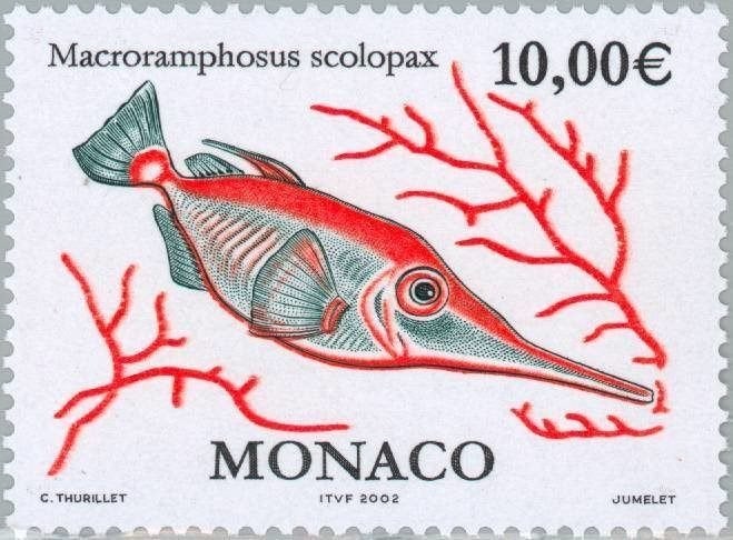 MONACO 28 - Dieren: vissen (snipvis), Ophalen of Verzenden, Postfris, Dier of Natuur