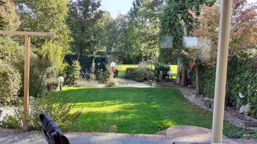 Lhasa Apso Boomer rond 2-4 jaar gezocht, Overige rassen, Geslacht onbekend, Eén hond, 3 tot 5 jaar