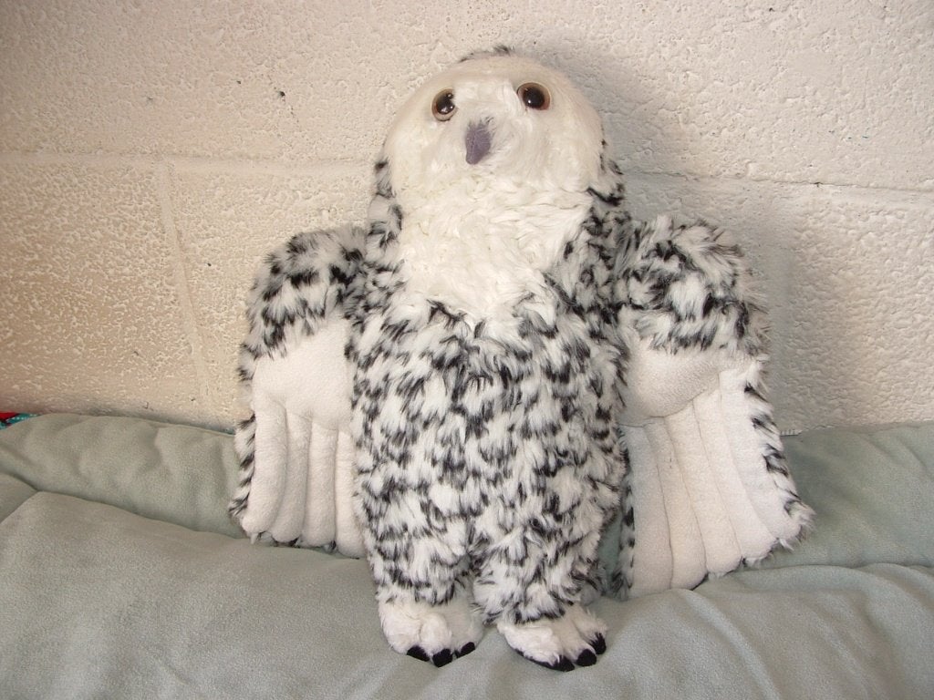 SOS SAFE OUR SPACE SNEEUWUIL VOGEL PLUCHE WIT MET ZWARTE, Ophalen of Verzenden, Nieuw, Overige typen