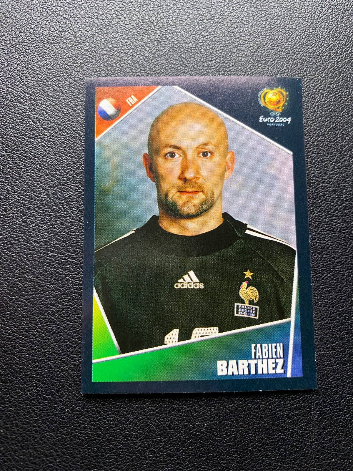 Fabien Barthez - Frankrijk - Panini Euro 2004, Ophalen of Verzenden, Zo goed als nieuw, Plaatje