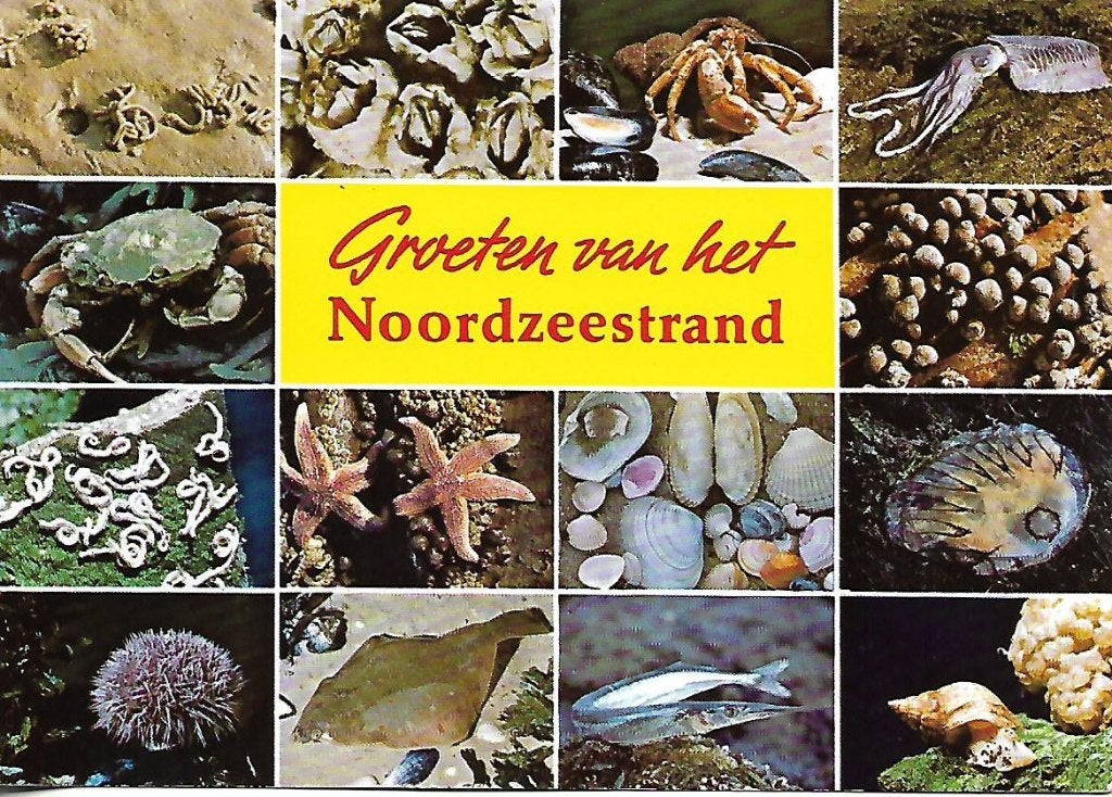 Noordzee- -14-luik., Verzenden, 1960 tot 1980, Gelopen, Noord-Holland
