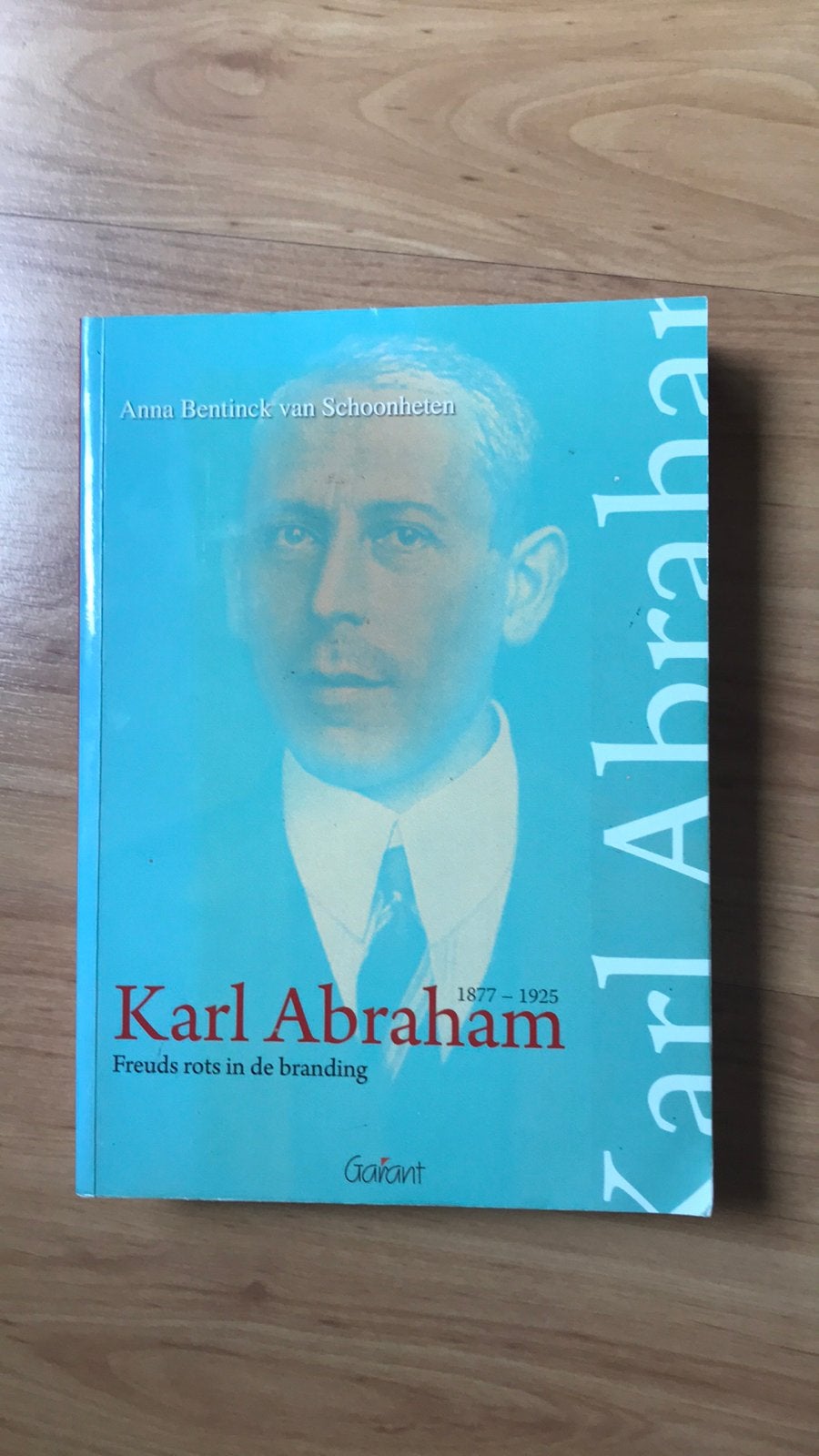 Anna Bentinck van Schoonheten - Karl Abraham Freud, Boeken, Ophalen of Verzenden, Gelezen, Anna Bentinck van Schoonheten