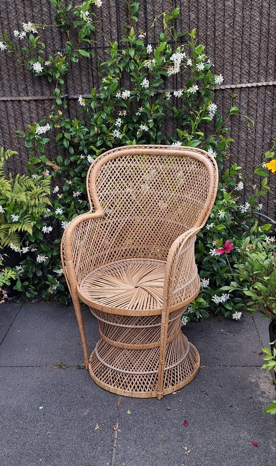 Rotan pauwstoel, Ophalen, Bruin, Riet of Rotan, Zo goed als nieuw