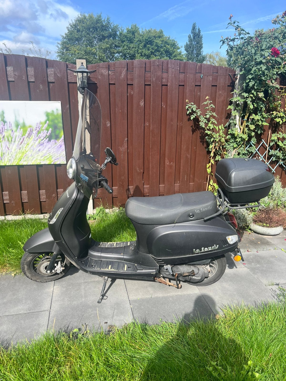 Foto 4 van La Souris Sourini 50cc bromfiets – bouwjaar 2021