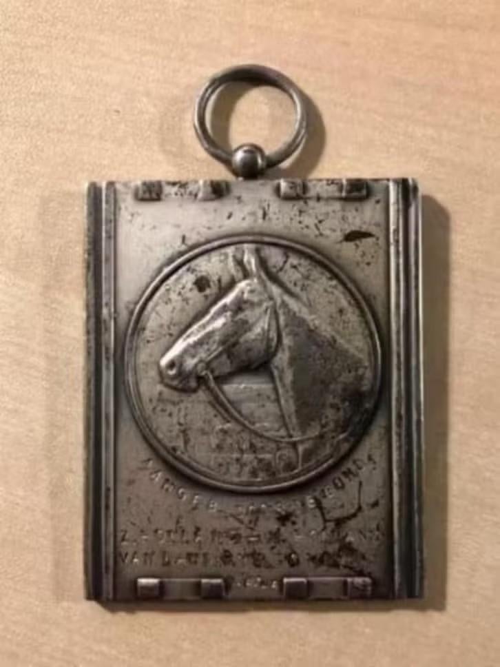 Ommen Medaille Paarden Aangeboden door de Bond 1940., Ophalen of Verzenden, Gebruikt