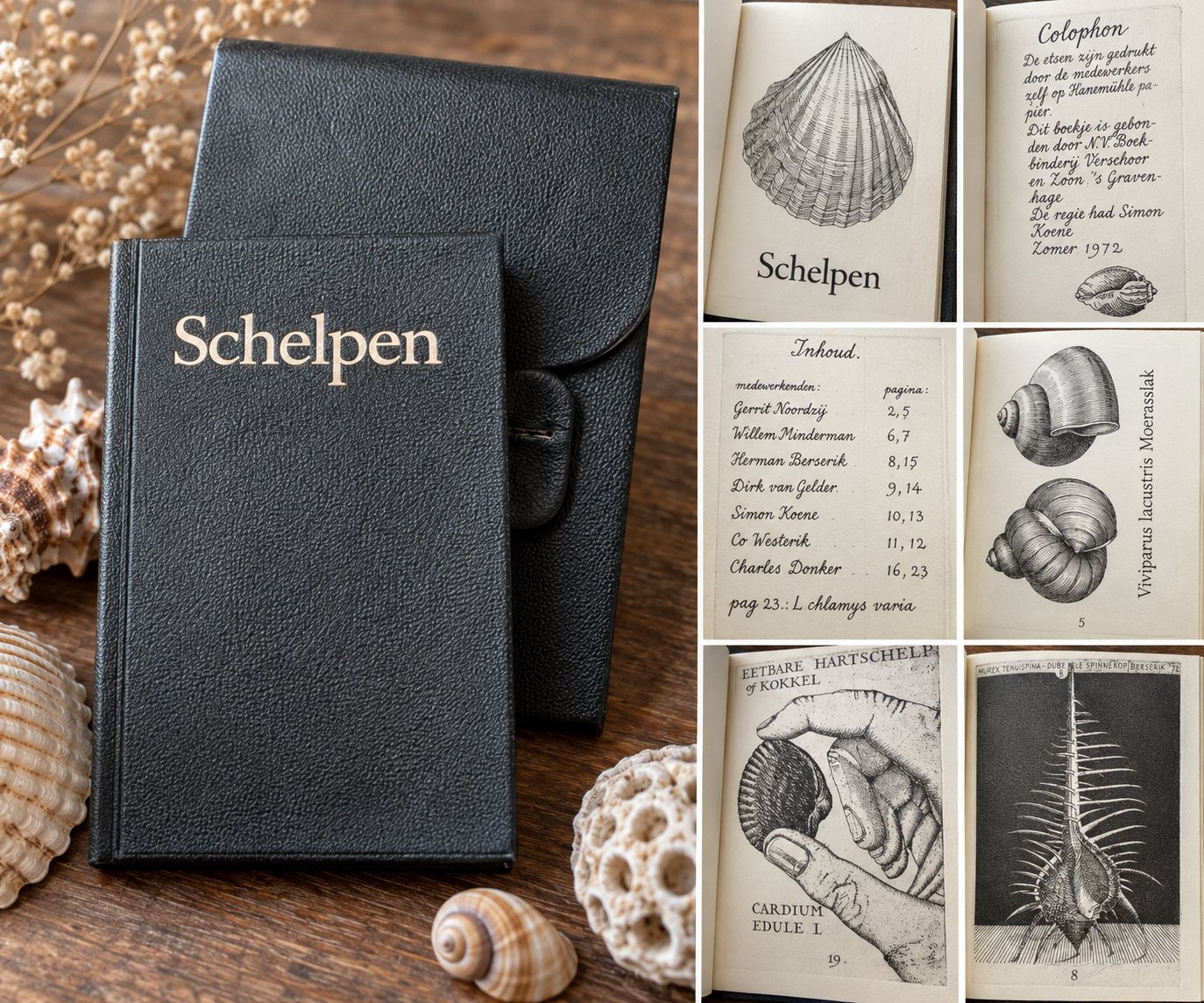eldzaam Schelpenboekje Simon Koene 1972, Ophalen of Verzenden