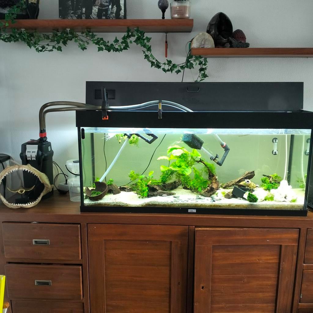 Juwel rio 240, Ophalen, Leeg aquarium