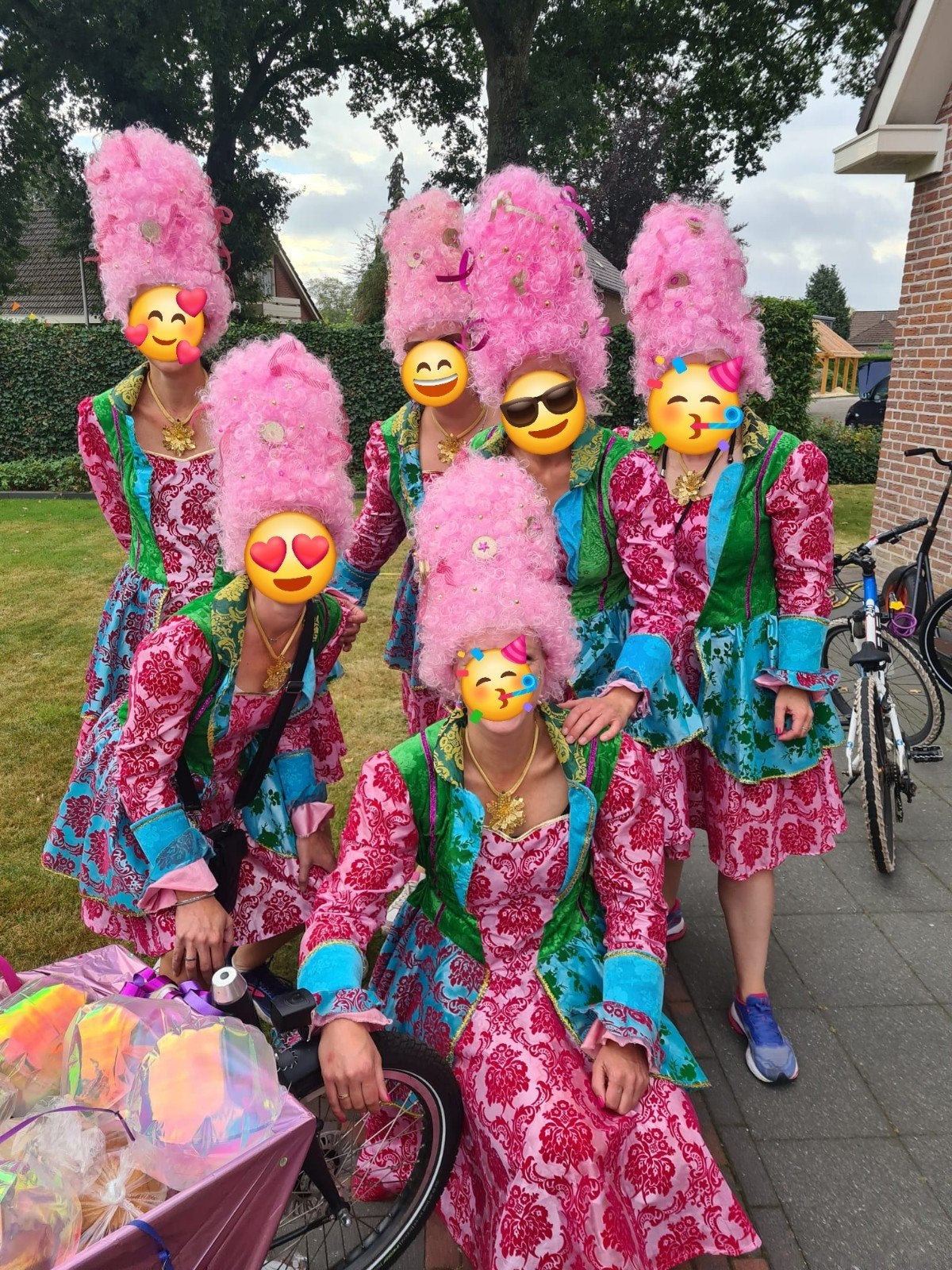 5 pakken met 6 roze pruiken - Carnaval/Feest, Ophalen, Zo goed als nieuw, Carnaval, Accessoires