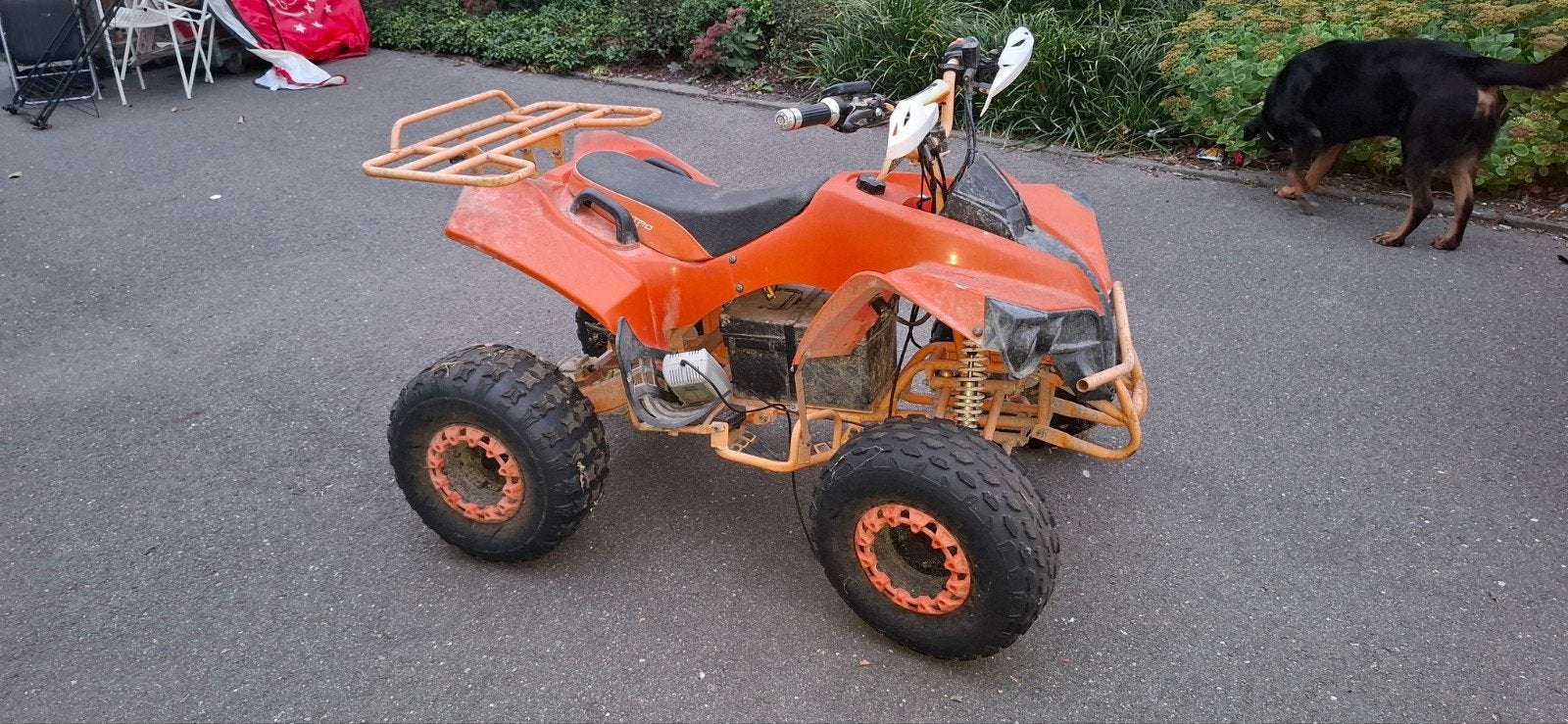 Gepard Quad.  Opknapper,  rijdt niet., Ophalen