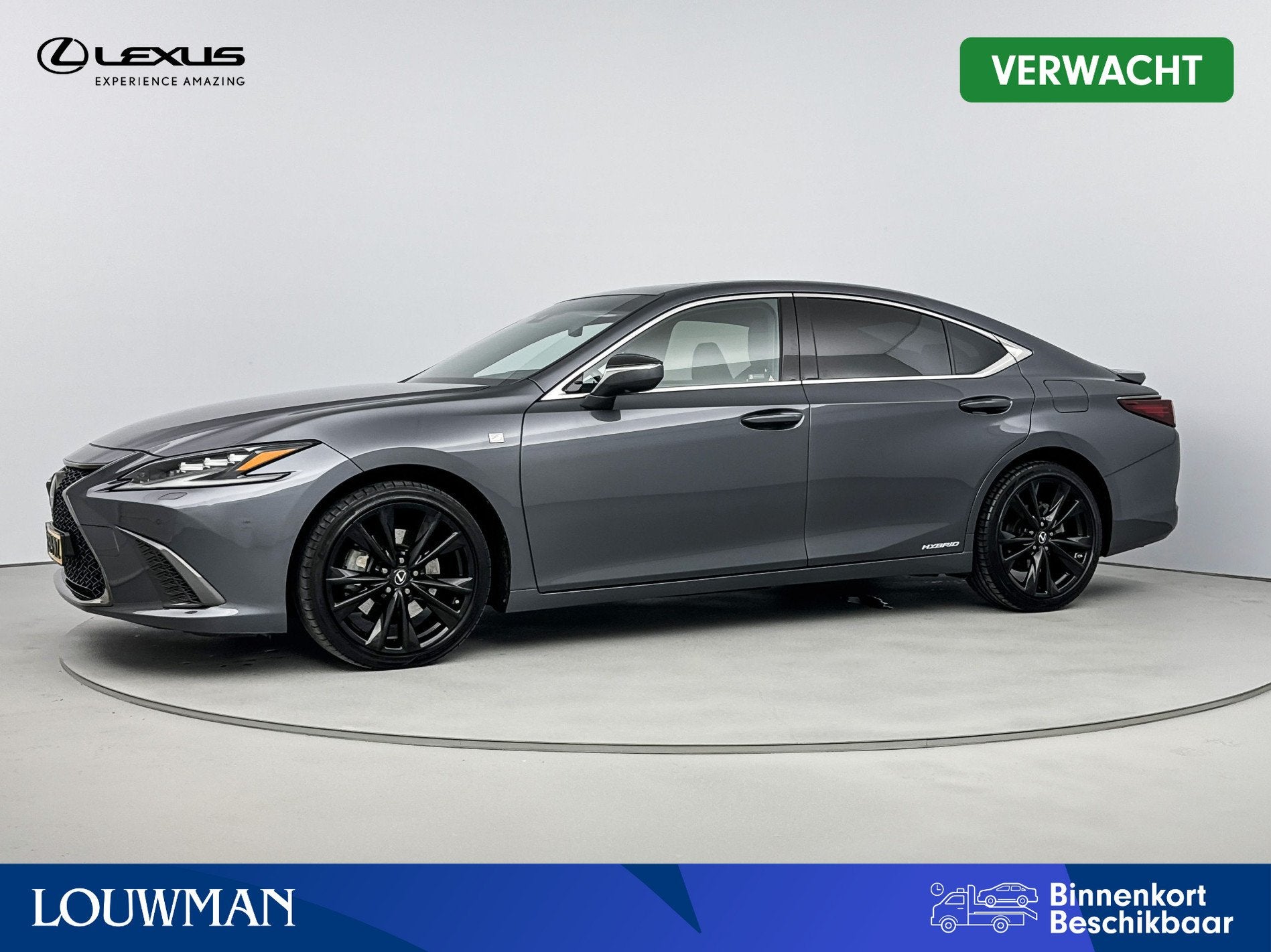 Lexus ES 300h F Sport Line | Mark Levinson | Schuif/Kantelda