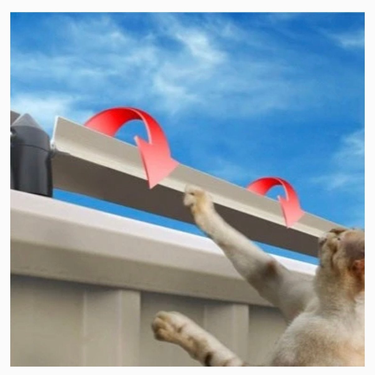 Oscilliot Catproof Gardens - Paddles / Roller-Systeem Katten, Ophalen, Zo goed als nieuw