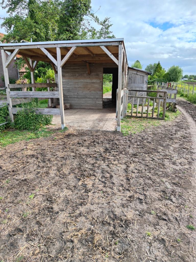 weiland met stal te huur, Dieren en Toebehoren, Stalling en Weidegang, 2 of 3 paarden of pony's