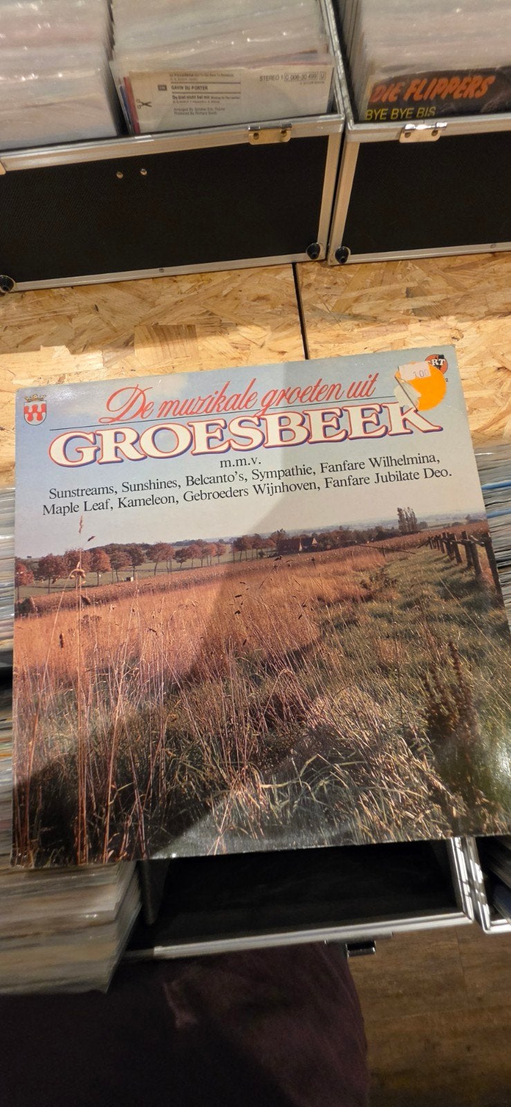 De Muzikale Groeten uit Groesbeek LP - Diverse Artiesten, Cd's en Dvd's, Ophalen, LP, Gebruikt, 12 inch