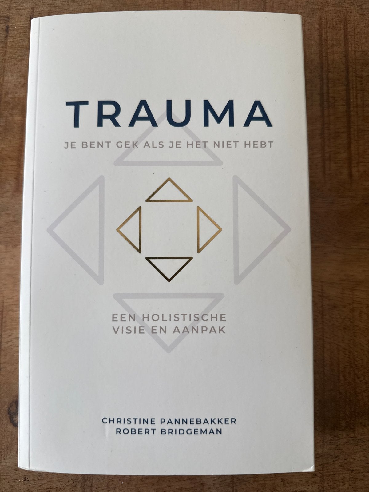 Trauma: Je bent gek als je het niet hebt - Christine Panneba, Boeken, Ophalen of Verzenden, Nieuw