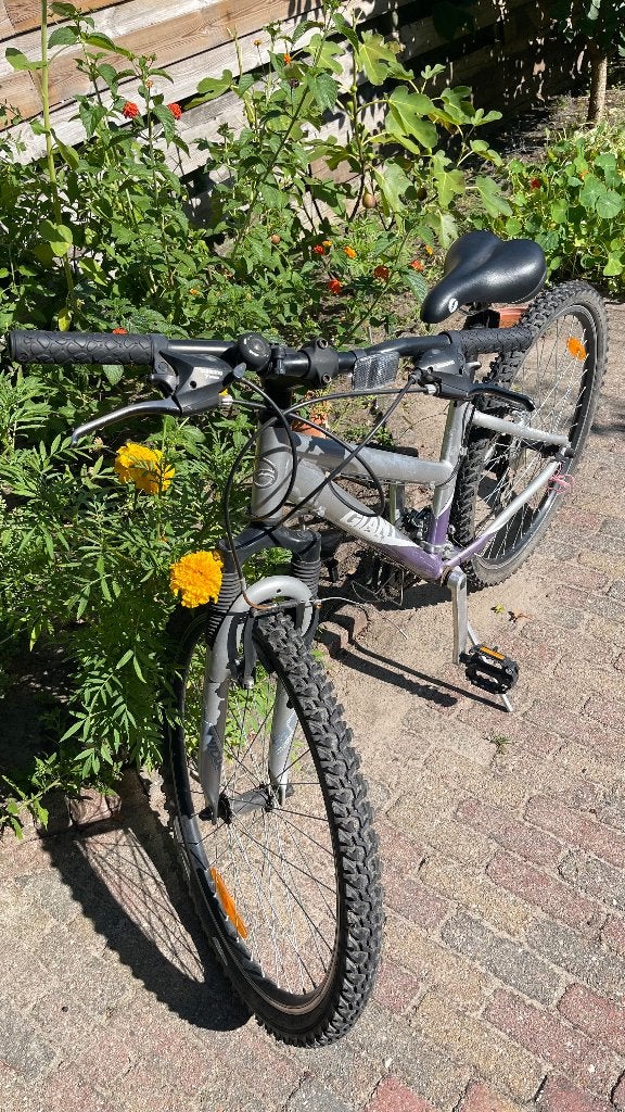 Mountain bike, Fietsen en Brommers, Fietsen | Mountainbikes en ATB, Hardtail, Velgrem, Giant, Zo goed als nieuw