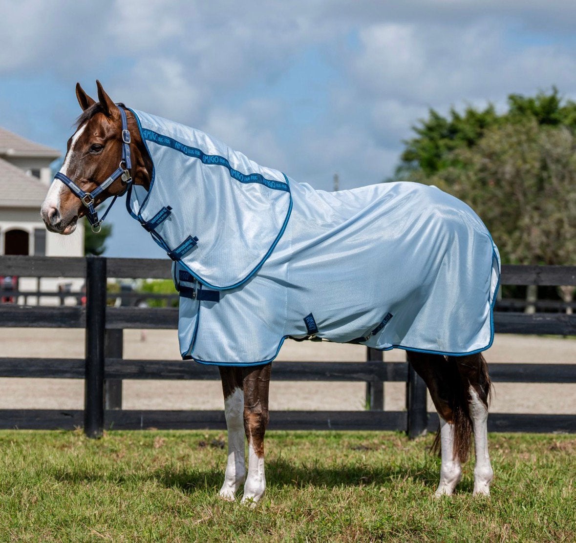 Amigo bug rug plus, Dieren en Toebehoren, Paarden en Pony's | Dekens en Dekjes, Ophalen of Verzenden, Nieuw, Vliegendeken, Horseware