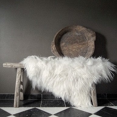 Witte IJslandse schapenvacht taxidermie krukjes kussens, Verzamelen, Dierenverzamelingen, Nieuw, Gewei of Kop, Insect, Ophalen of Verzenden