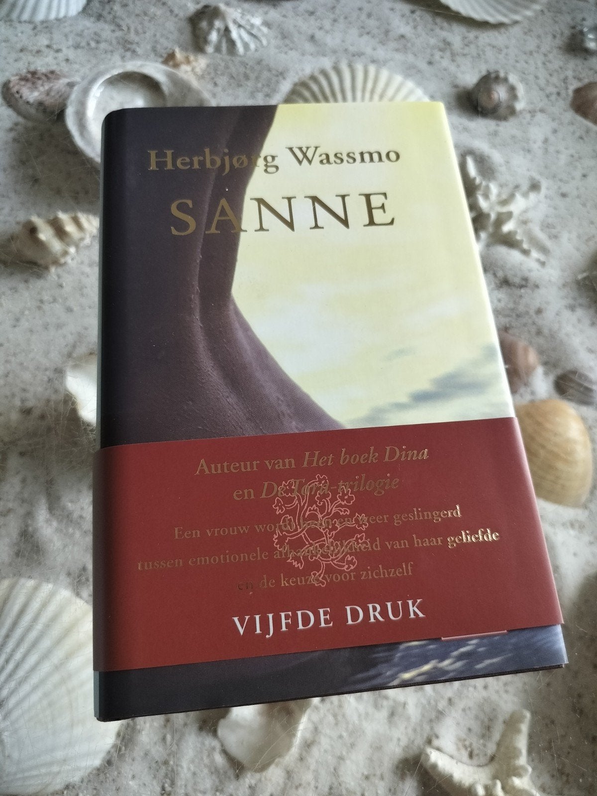 Herbjørg Wassmo - Sanne, Ophalen of Verzenden, Zo goed als nieuw, Herbjørg Wassmo