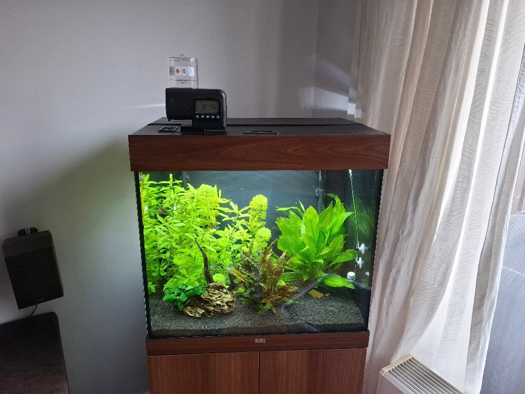 Juwel aquarium 120L + bijpassende onderkast, Ophalen, Inclusief deksel, Zo goed als nieuw, Leeg aquarium